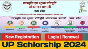 up scholarship